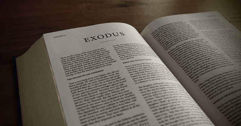 6 letter 2024 word exodus