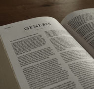 Genesis bible commentary