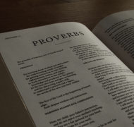 Proverbs bible commentary