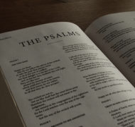 Psalms bible commentary