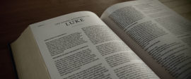 Luke bible commentary