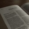 Daniel bible commentary