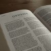 Genesis bible commentary