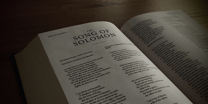 Song of Songs and Work | Theology of Work