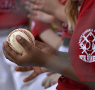 Patricia Hunter handsbaseball square