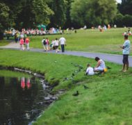 Nature bird people grass